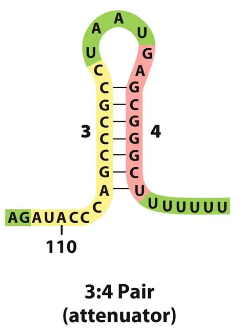 1 a  2 b  3 c  4 f  5 e  6 i  7 g  8 h  9 l