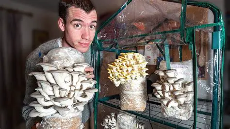 Add the mushrooms at the right time