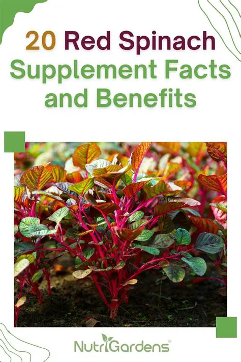Additional Benefits of Red Spinach Flour and Corn Flour