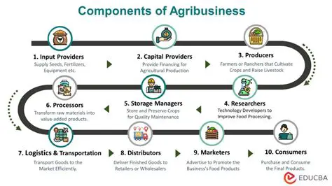 Analysis of Potato Agribusiness Subsystem in Karo Regency