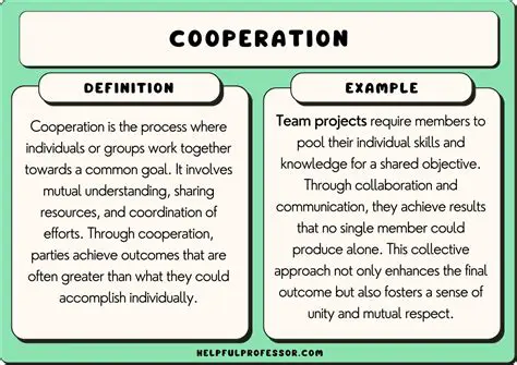Analysis of the Cooperation Provisions