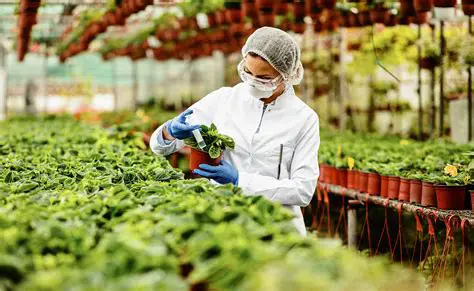 Aplicaciones en la Agricultura