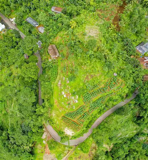 Appropriate Planting Pattern