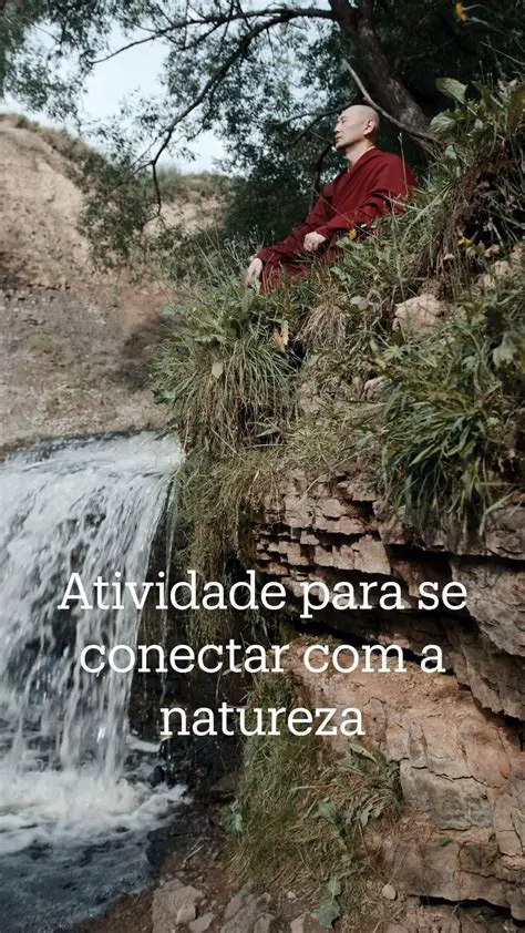Aprenda a se conectar com a natureza