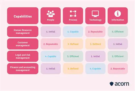 Assess their current project management capabilities