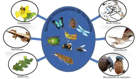 Aumento de las poblaciones de insectos y otros invertebrados