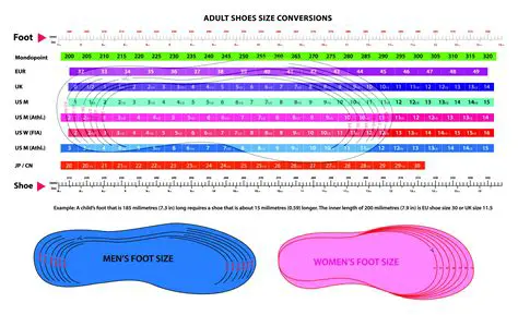 Calculating the Number of Shoes per Set