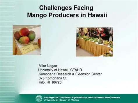Challenges Facing Producers
