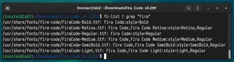 Check the font installation