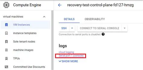 Check the serial console output
