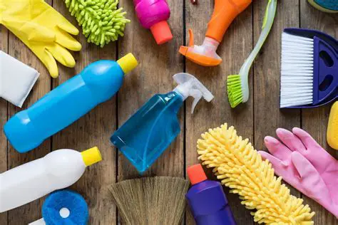 Cleaning and sanitizing equipment