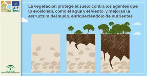 Consecuencias del cambio de uso de suelo