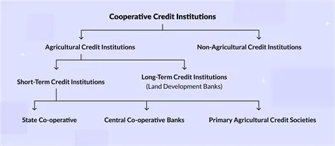 cooperatives have a significant and positive influence on the provision of micro credit