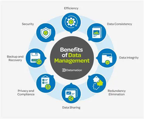 Data Management Efficiency