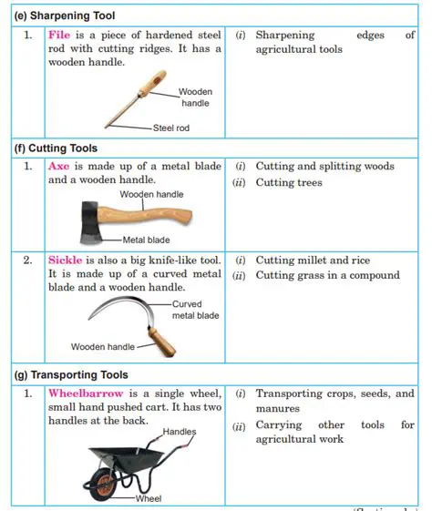 Description of the Tools and Their Functions