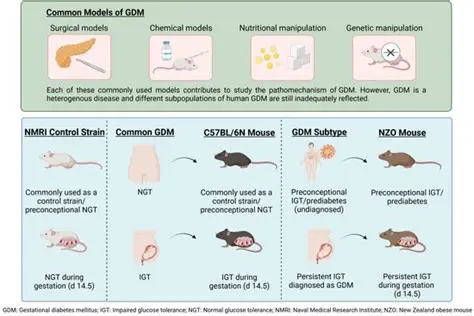 Effect of Pydot Leaves on Gastric Histology in Mice Type 2 Diabetes Models