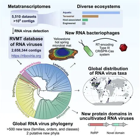 Effective against new and unknown viruses