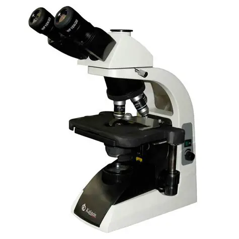 El Uso de Microscopios de Luz y SEM