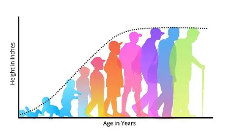 Factors Influencing Lifespan