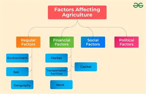 Factors Influencing the Implementation of Security Maintenance Programs