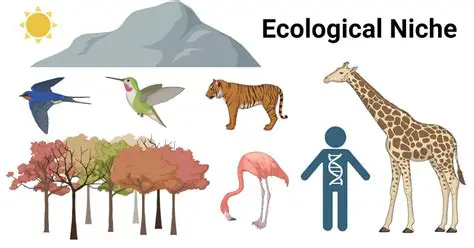 Frequently Asked Questions about Niche in Human Communities
