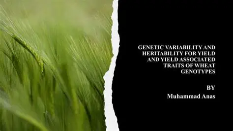 Genetic Variability and Heritability