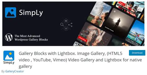Hiding YouTube and Vimeo Blocks