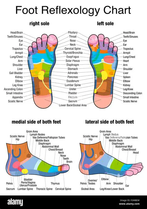 Hip distance to the sole of the feet