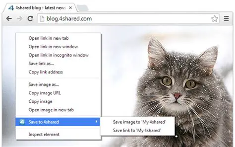 How to Use Save to 4shared
