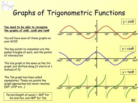Identify the trigonometric function