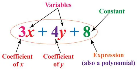 Identifying the Coefficient