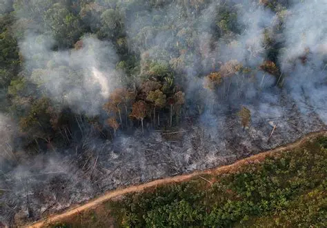 Impactos sobre a Biodiversidade