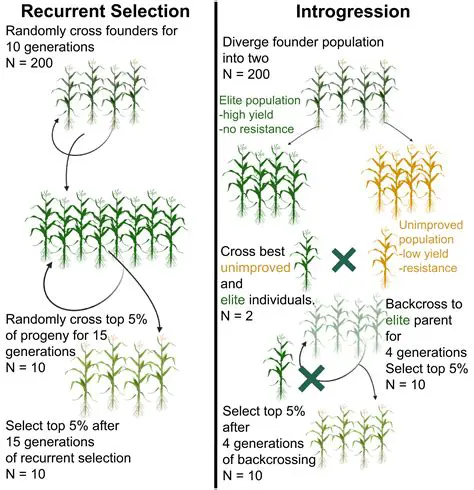 Investigate the relationship between the number of breeding pairs and the number of eggs