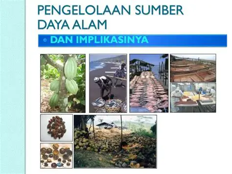 Ketergantungan pada sumber daya alam