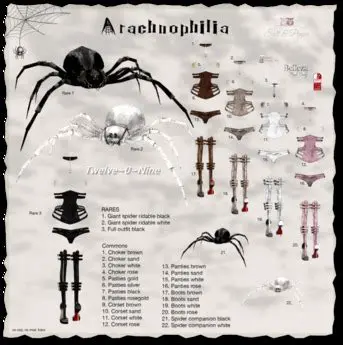 Key Features of Arachnophilia