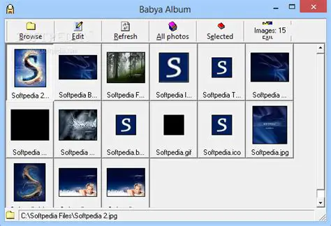 Key Features of Babya Photo Workshop Professional