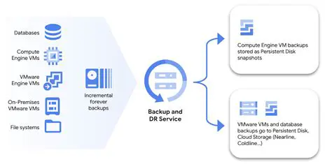 Key Features of Back Up and Strip