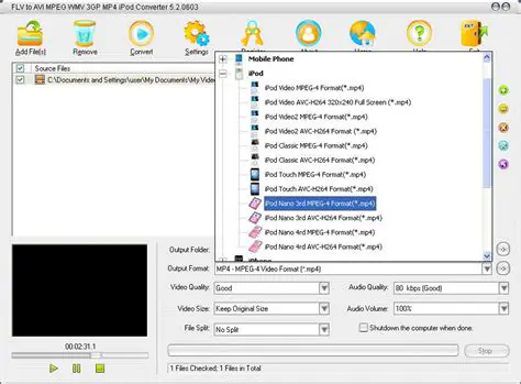 Key Features of Leap Free HD Video to AVI MP4 iPod WMV Converter