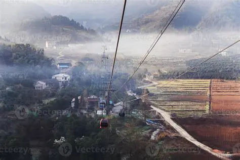 探秘《龙穴》艾玛：商业奇才的创业之路与投资秘籍