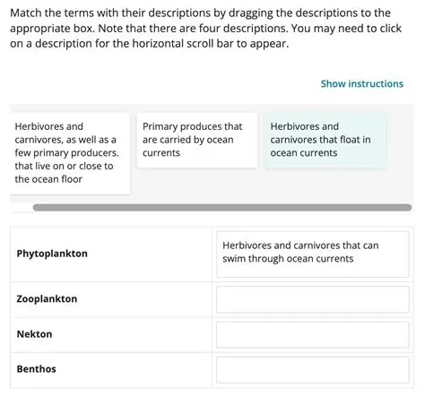 Matching the Terms with Their Descriptions