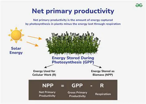 Measuring the level of energy productivity of the company