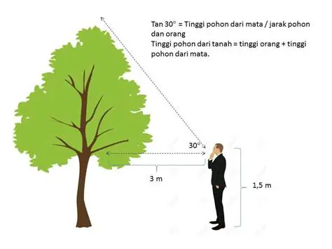 Menghitung Tinggi Pohon 6 M