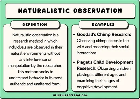 Observations from a Single Picture