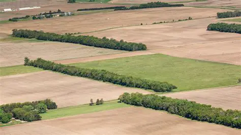Outcome of the Prairie States Forestry Project