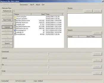 Overview of BigSpeed File Sharing SDK