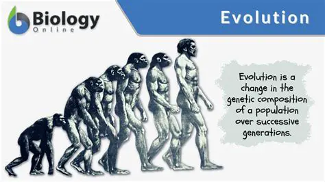 Overview of Evolution M Client
