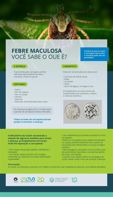 Perguntas e Respostas sobre a Febre Maculosa