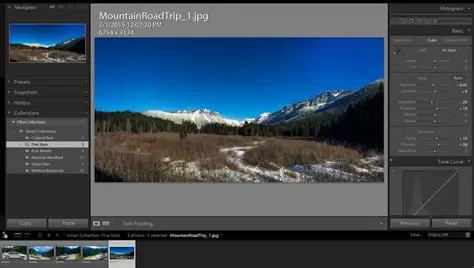 Photo Editing and Organization