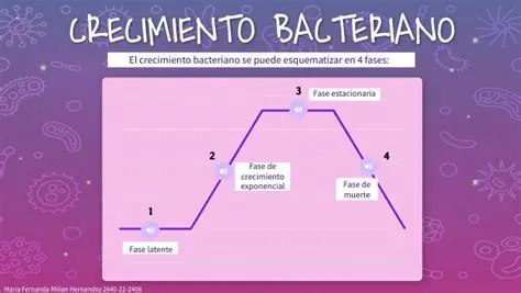 Preguntas y respuestas sobre el crecimiento de una bacteria