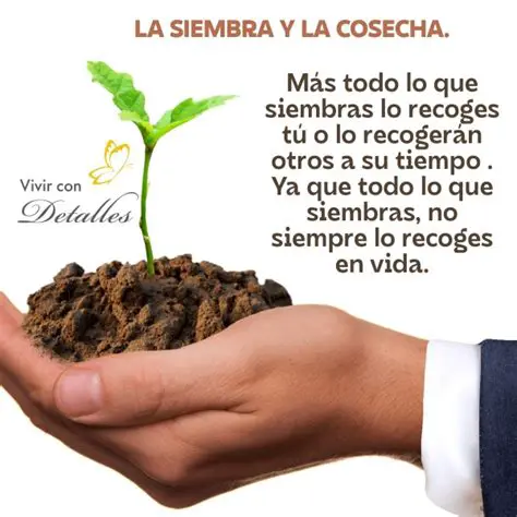 Preguntas y Respuestas sobre la Cosecha de Manzanas en el Huerto de Federico